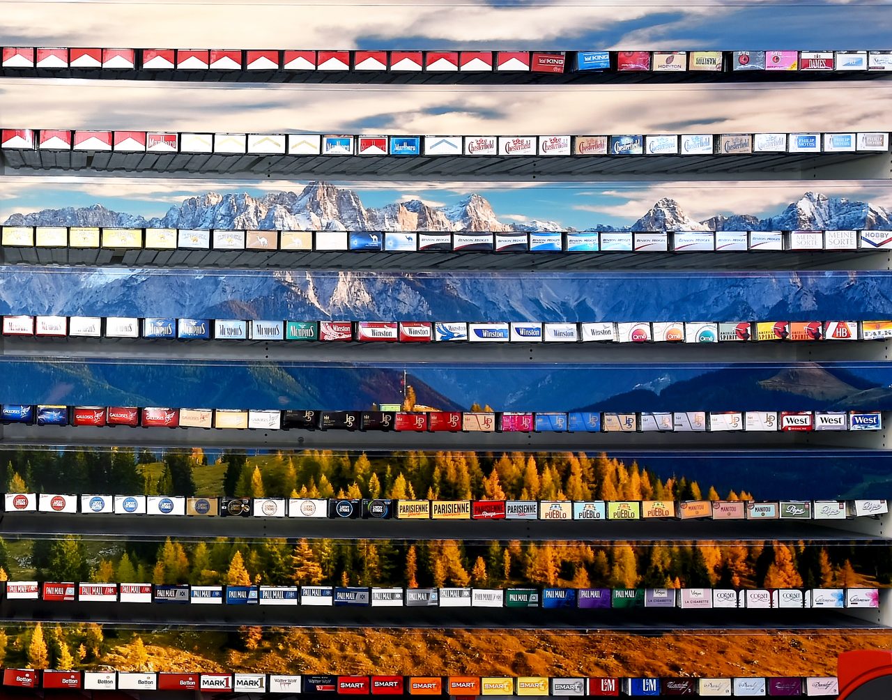 BlackSky SHELF - Gestaltungsbeispiel